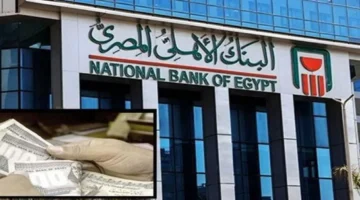 تحديثات الصرف.. تباين أسعار العملات العربية والأجنبية أمام الجنيه في البنوك المصرية